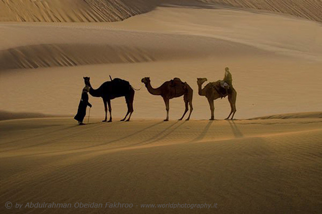 Desert the Qatar